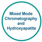 Mixed Mode Chromatography and Hydroxyapatite